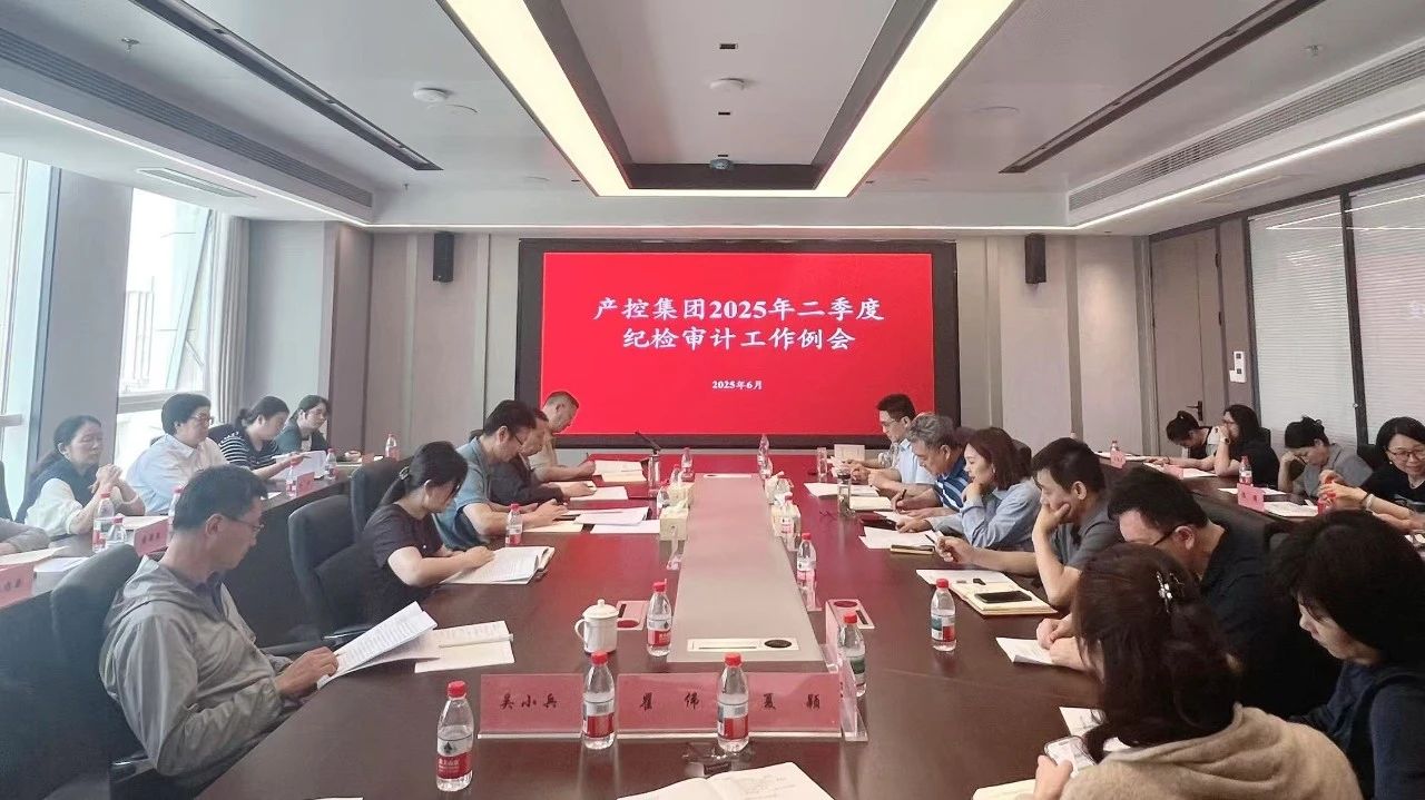 產(chǎn)控集團(tuán)組織召開2025年二季度紀(jì)檢、審計工作例會